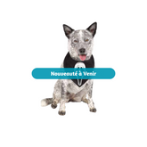 Bandana pour chien - Ghost Face - Noir Fun World